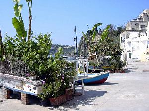 Corricella 027